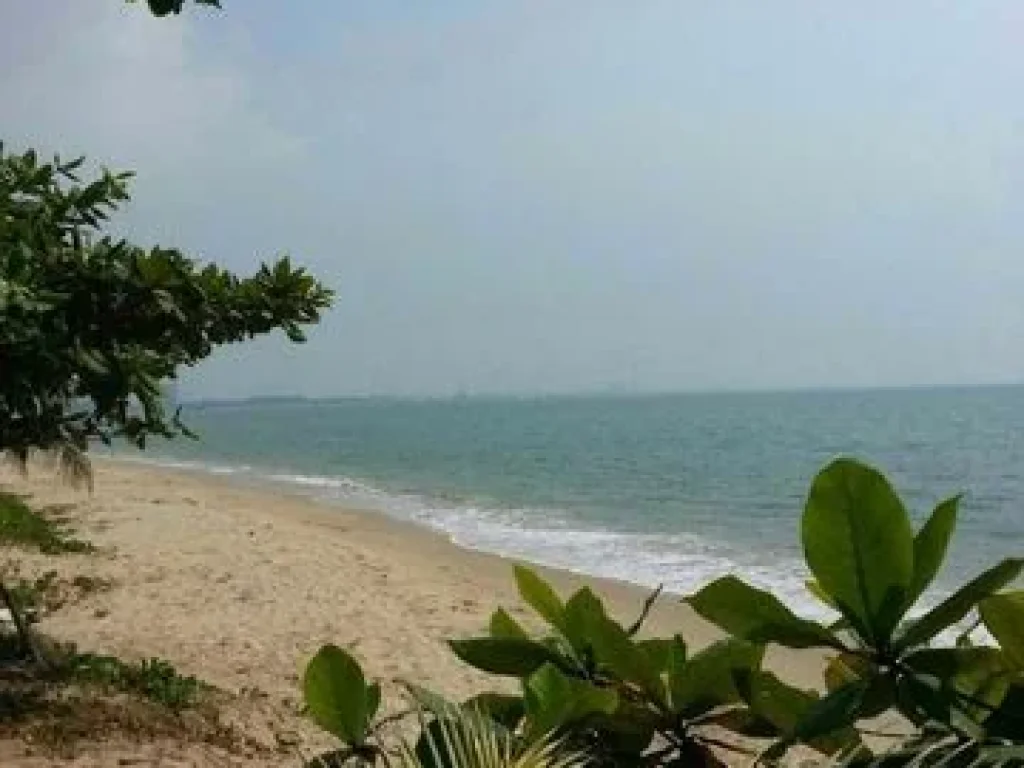 ขายที่ดินติดทะเลชายหาดส่วนตัว หาดพลา ติดเขตสนามบินอู่ตะเภา โฉนด 61 ไร่