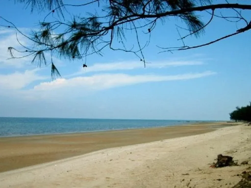 ขายที่ดินติดริมทะเล หาดแม่พิมพ์ 4 ไร่ เหมาะ ทำบ้านพักตากอากาศ หรือห้องเช่ารายวัน