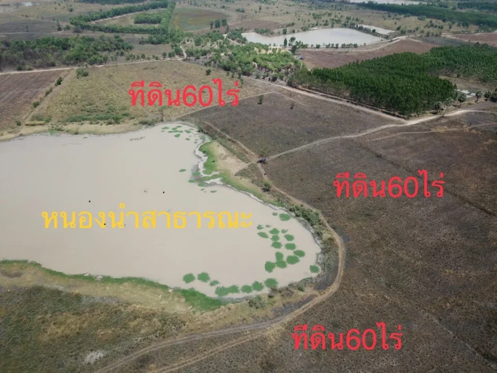 ขายที่ดิน60ไร่ ติดหนองนำ้สาธารณะ วิวเขาใหญ่ ใกล้ถนน4เลนตัดใหม่