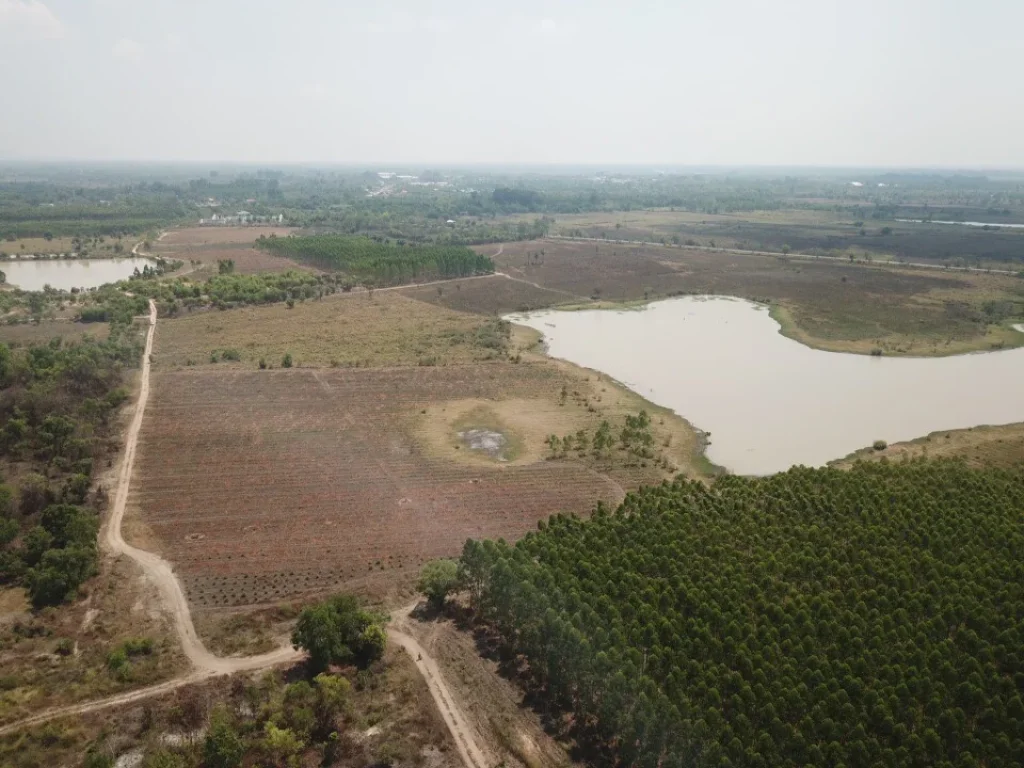 ขายที่ดิน60ไร่ ติดหนองนำ้สาธารณะ วิวเขาใหญ่ ใกล้ถนน4เลนตัดใหม่