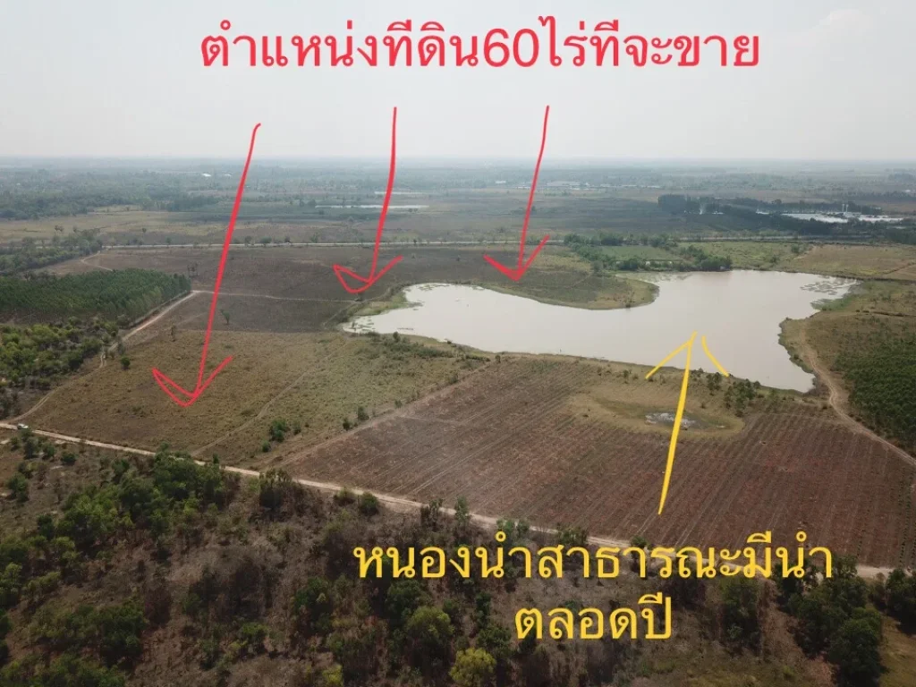 ขายที่ดิน60ไร่ ติดหนองนำ้สาธารณะ วิวเขาใหญ่ ใกล้ถนน4เลนตัดใหม่