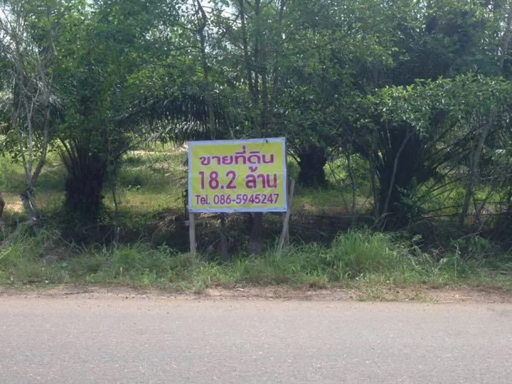 ขายที่ดินสวนปาล์ม เหมาะสร้างบ้านจัดสรรแบ่งห้องดินขาย