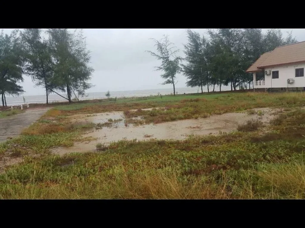 ที่ดินติดชายหาดขายด่วนยอมขาดทุน