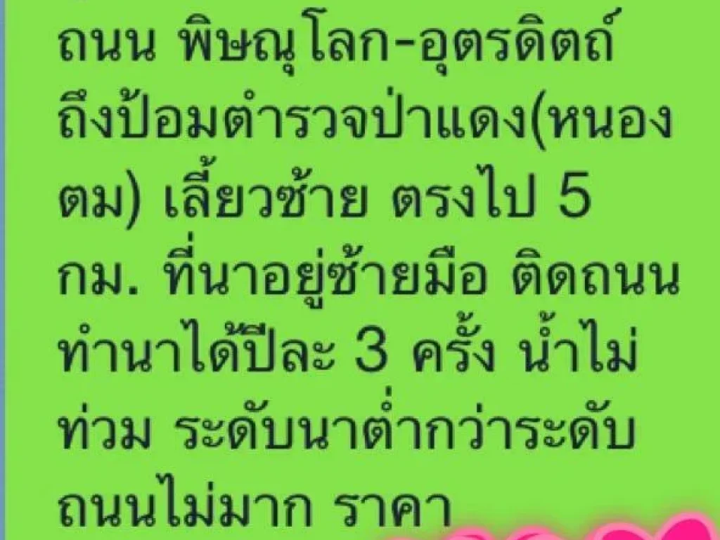 ขายที่นา ด่วน 99 ไร่