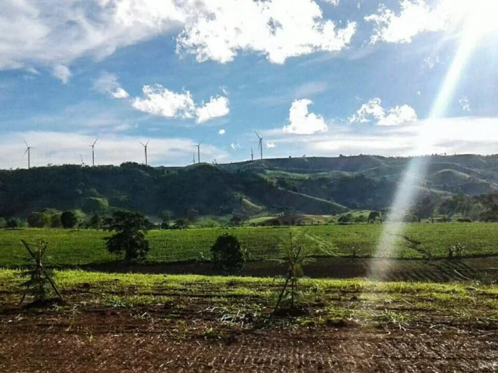 ที่ดินโฉนด 4 ไร่อยู่บนเนินวิวสวย 360 องศา เห็นกังหันลม ผาซ่อนแก้ว ติดถนนใหญ่