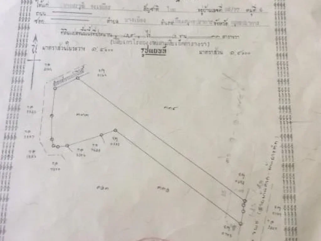 ขายทีีดิน29ไร่กว่าราคาไม่เเพงในเขตเทศบาลเมืองท่าผา