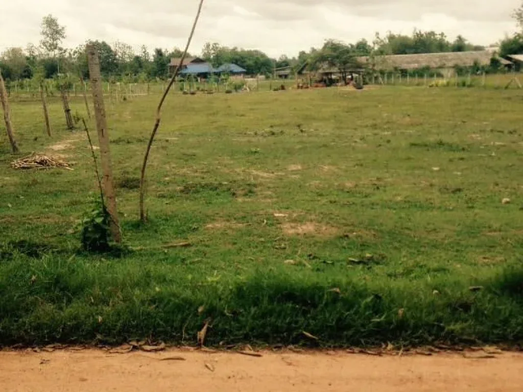 ขายที่ดินเนื้อที่ 1ไร่บ้านเกษตรพัฒนา ตป่าไผ่ อสันทราย เชียงใหม่