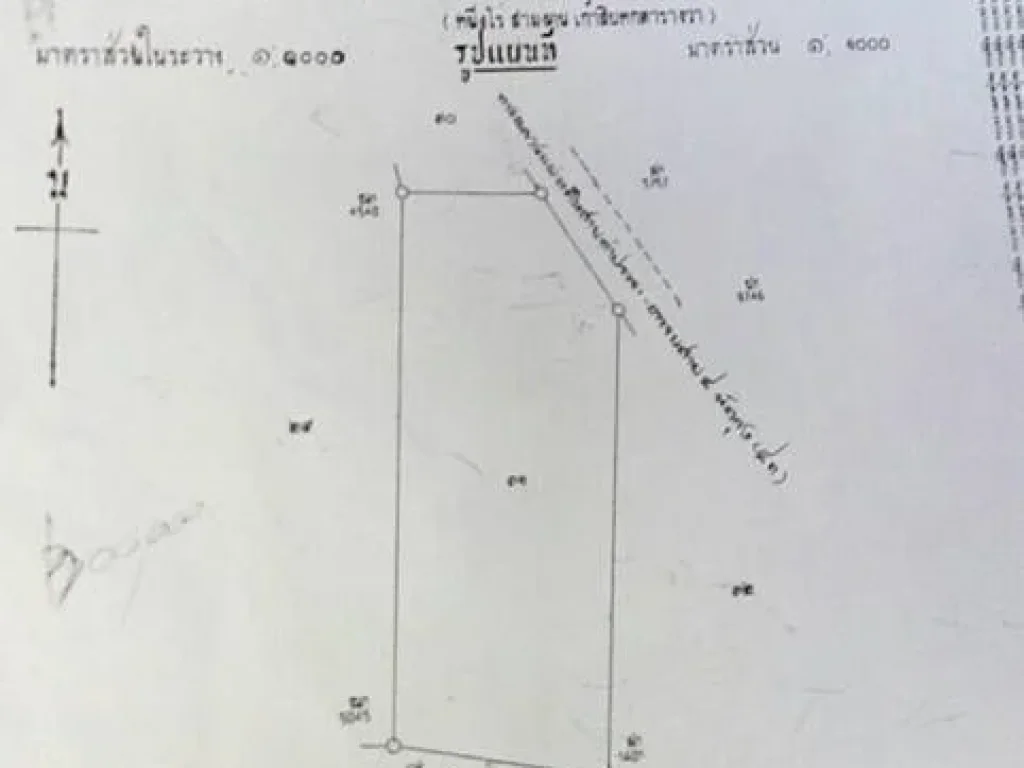 ขายที่ดินติดถนนเอเชีย 1ไร่ 98ตรว