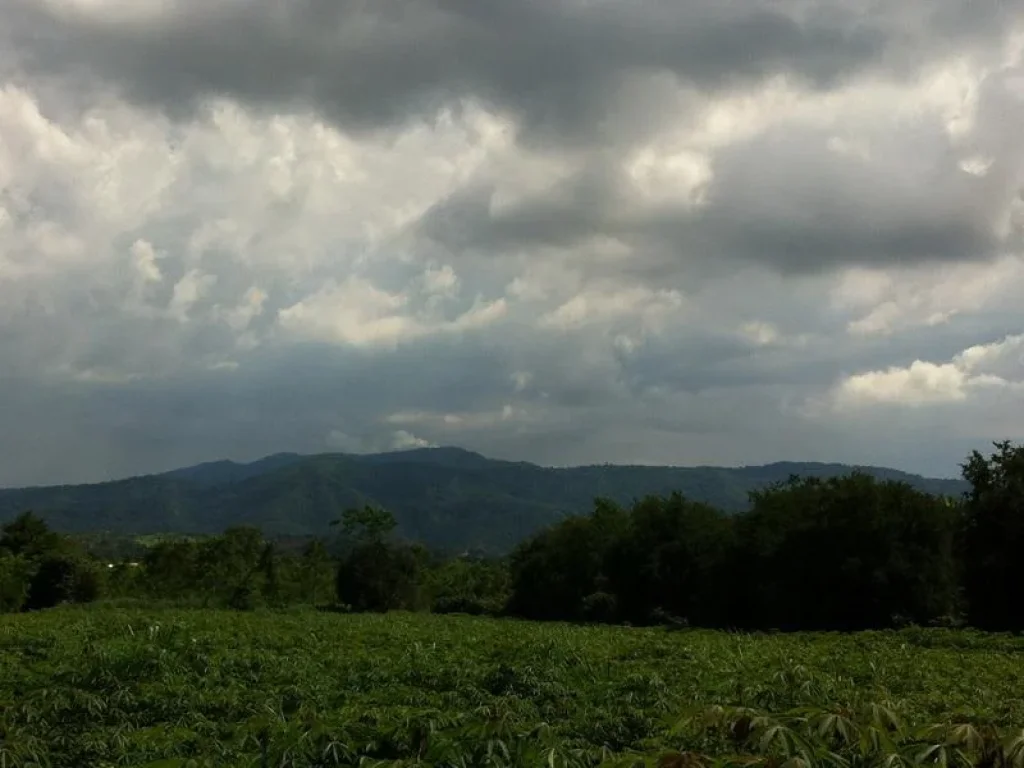 ขายที่ดิน 10 ไร่ เขาใหญ่ บ้านสระน้ำใส ติดถนนลาดยาง ด้านหลังติดคลองลำรางเล็ก วิวเทือกเขาใหญ่สวย ขายไร่ละ 15ล้านบาท