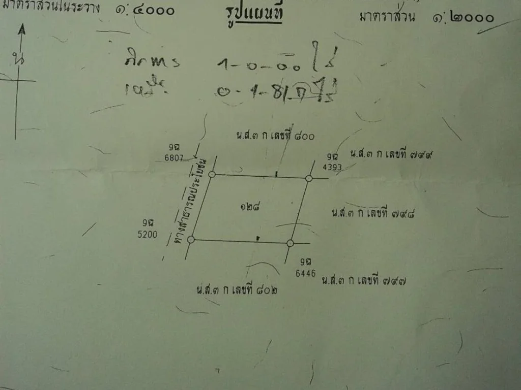 ที่ดินที่พังงา ตะกั่วป่า เกาะคอเขา 1-1-81 ไร่