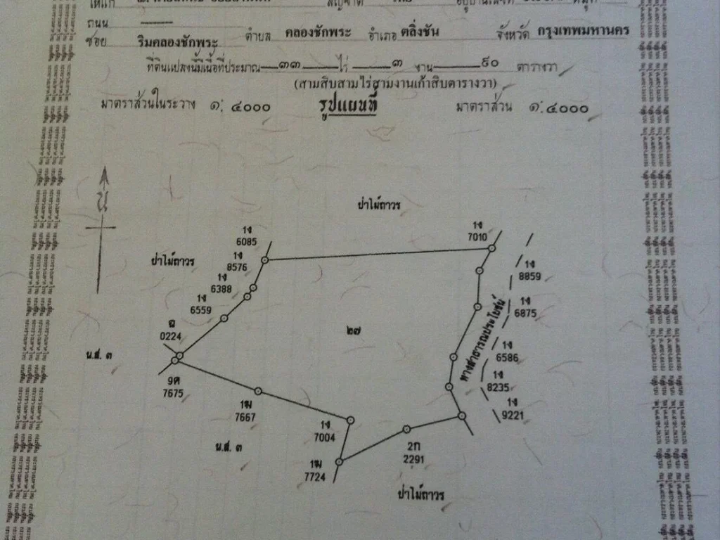 ฃื้อครึ่งได้ฟรีครึ่ง สวนยางเนื้อที่ครอบครอง60ไร่