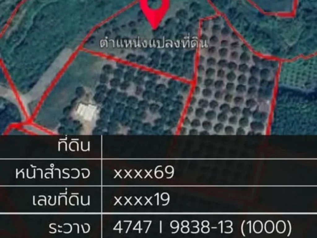 ขายที่ดินบ้านแม่เตาะติดลำห้วยวิวดอยหลวงโฉนดพร้อมโอน