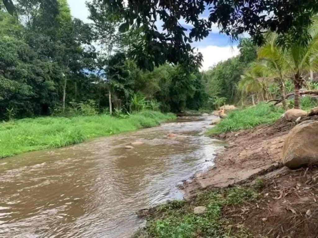 ขายที่ดินหน้าติดถนนหลักหลังติดลำธารน้ำป่าเมี่ยงดอยสะเก็ตพร้อ