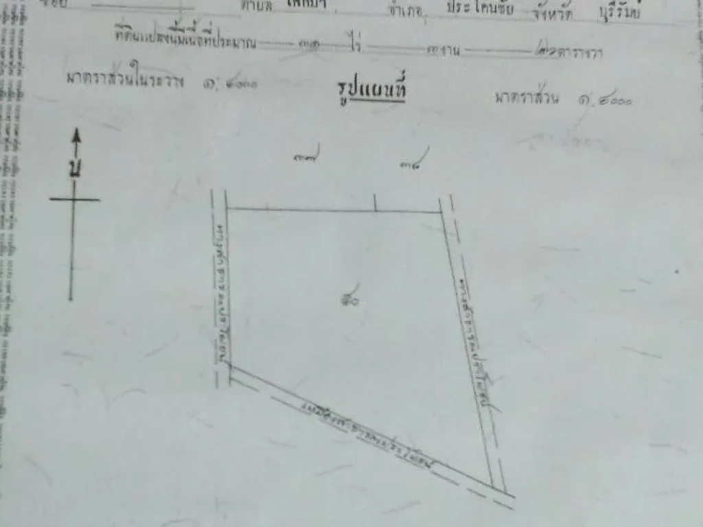 ขายที่ดิน ทำเลงาม ตโคกม้า อประโคนชัย จวบุรีรัมย์ เนื้อที่ 31 ไร่ 3 งาน 26 ตรวขายยกแปลง