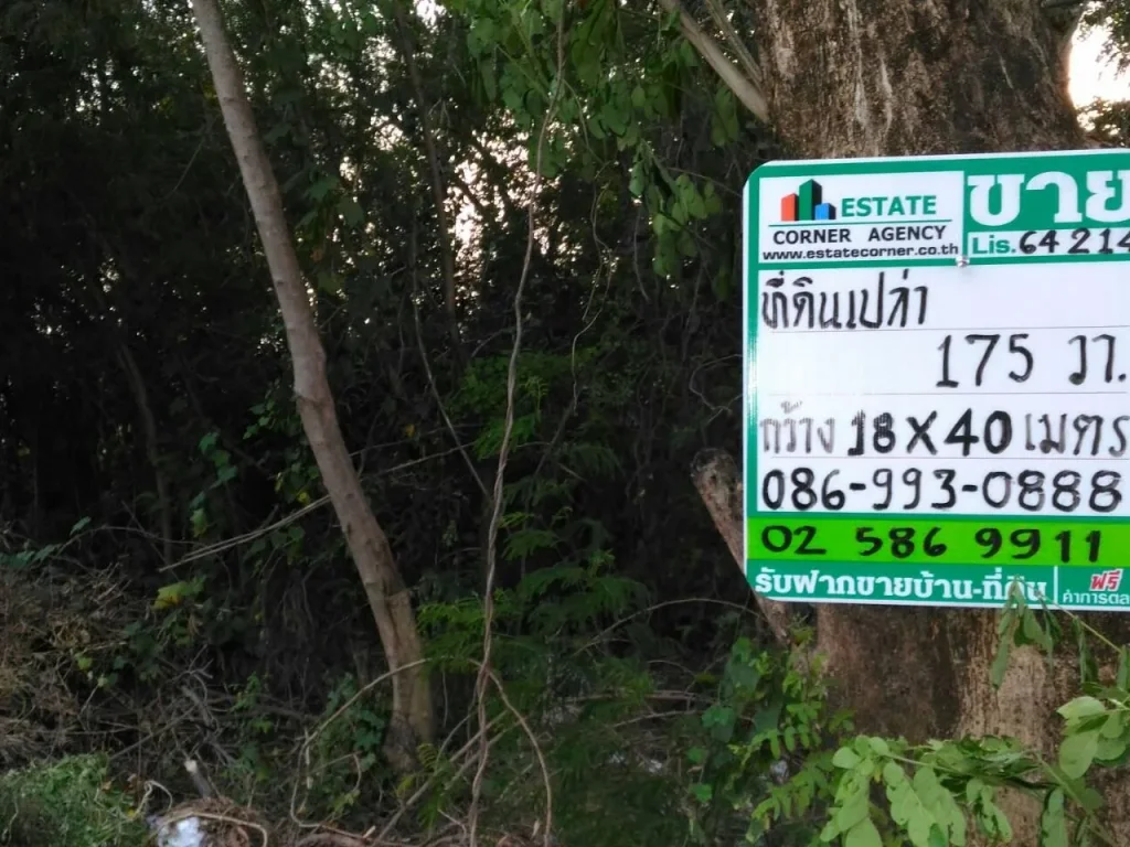 64214 ขาย ที่ดินเปล่า เนื้อที่ 175 ตรว ซอย แจ้งวัฒนะ 38 ปากเกร็ด นนทบุรี