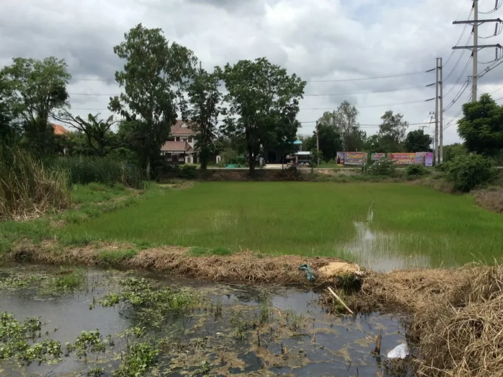 ขายทีดิน 16 ไร่ ติดทางหลวงจังหวัดศรีประจันต์-ปากน้ำ ใกล้เทศบาลเดิมบางนางบวช