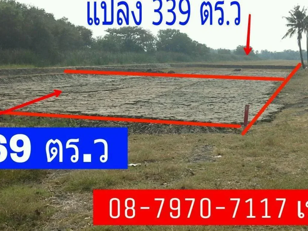 เจ้าของขายเองขายที่ถูก 169 ตรว ตรว ละ 3800-642200-