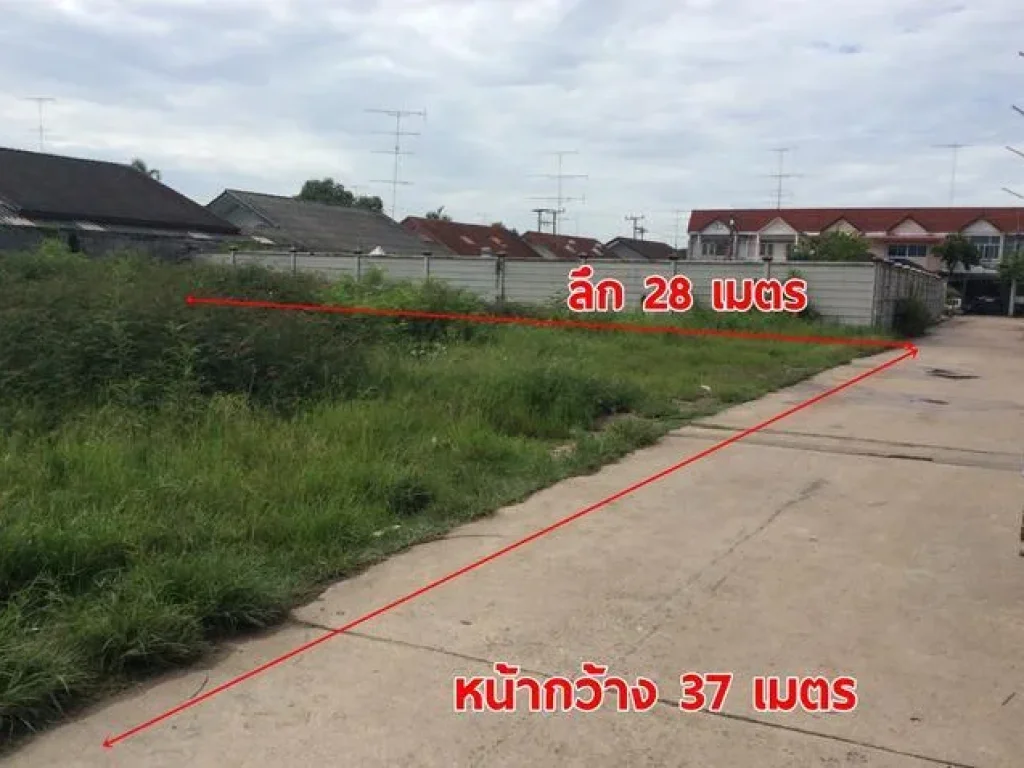 250ตรว ในตัวเมือง หลังตลาดเมืองทอง ติดหมู่บ้านทิพย์นิเวศ