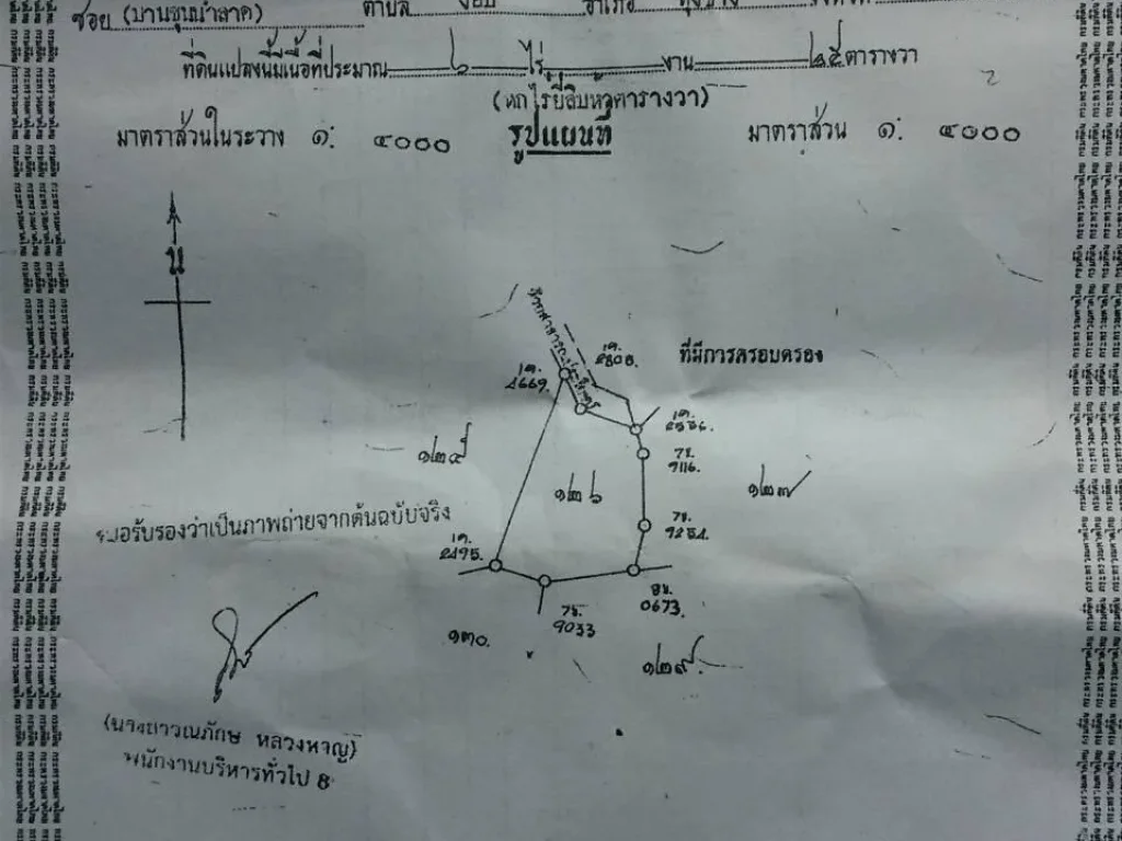 ขายที่ดิน เนื้อที่ 6 ไร่ 25 ตรว เขต ตงอบ อทุ่งช้าง จน่าน