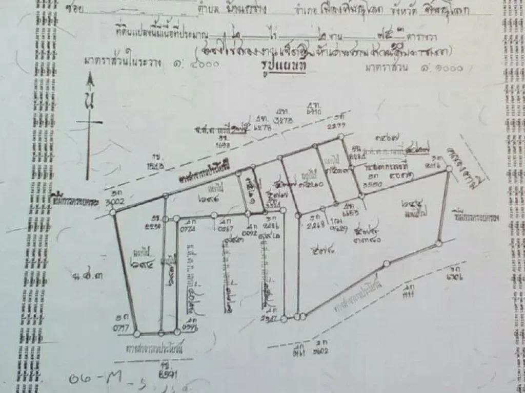 ขายที่พร้อมบ้านถูกๆ