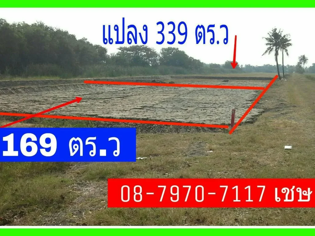 ที่สวย ถมแล้ว ราคาถูก 169 ตรว 3800-ตรว พร้อมโอน