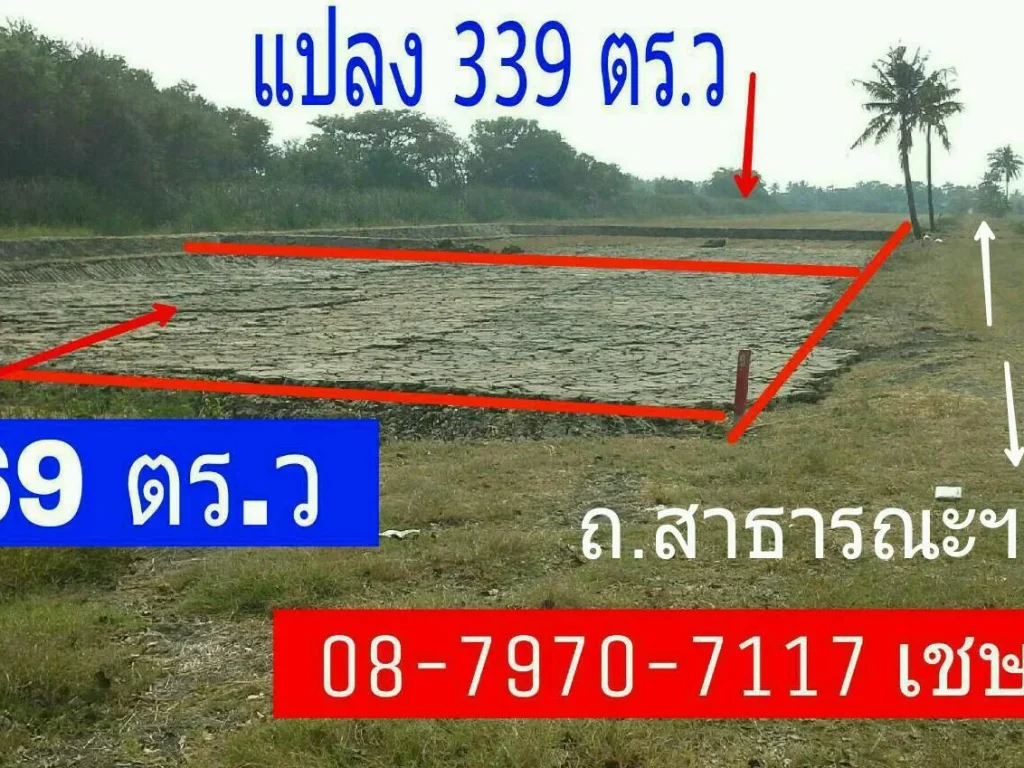 ที่สวย ถมแล้ว ราคาถูก 169 ตรว 3800-ตรวพร้อมโอน