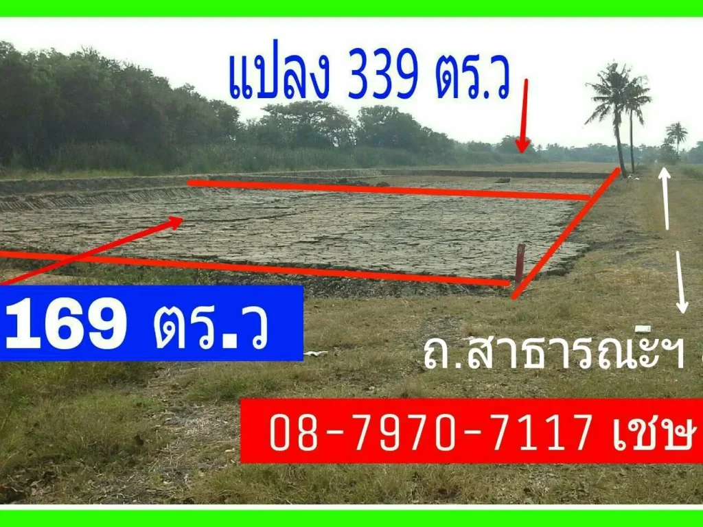 ที่สวย ราคาถูก 169 ตรว 3800-ตรว642200-