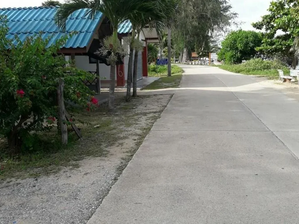 ขายที่ดินติดถนนชายหาด บางสะพาน