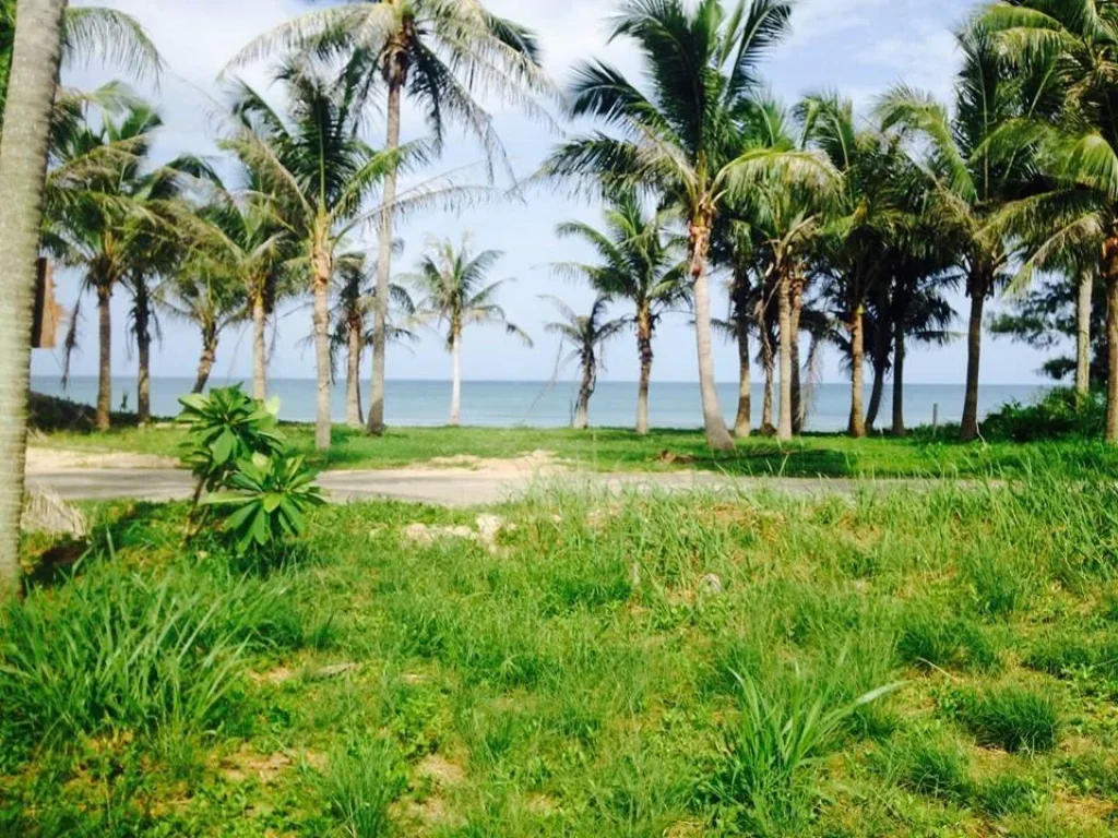 ที่ดินริมทะเลชายหาดบ้านกรูด