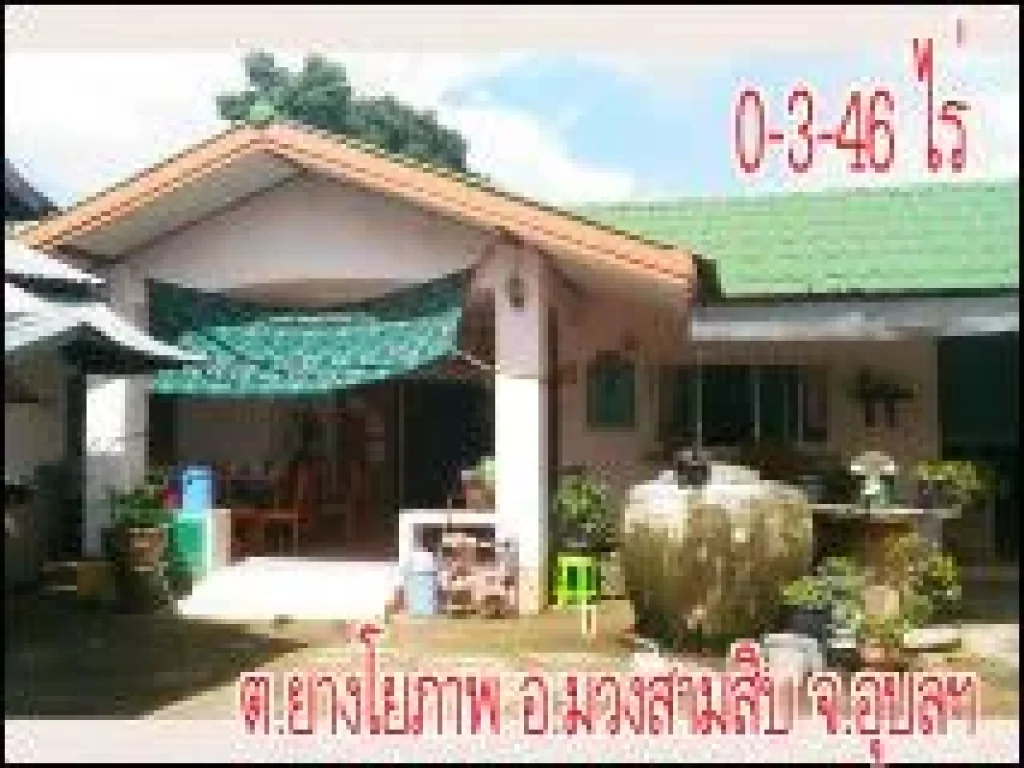 POP-423 บ้านเดี่ยวชั้นเดียว 346 ตรว ตยางโยภาพ อม่วงสามสิบ จอุบลฯ ติดถนนชยางกูร ราคา 45 ล้านบาท