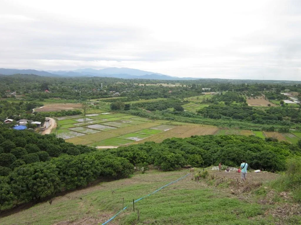 ขายที่ดินวิวสวยหลังศูนย์ราชการแม่วาง เชียงใหม่ 10 ไร่ แม่วาง เชียงใหม่