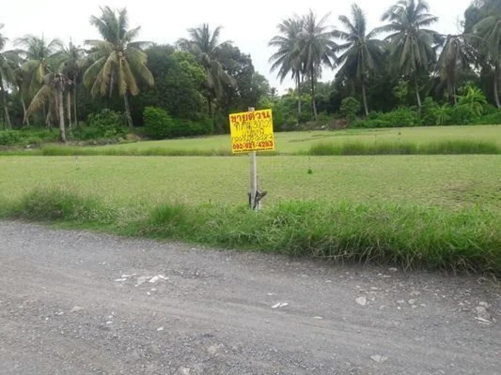 ขายที่ดินสุวินทวงศ์ 300 ตรว ร่มเกล้า บึงขวาง มีนบุรี