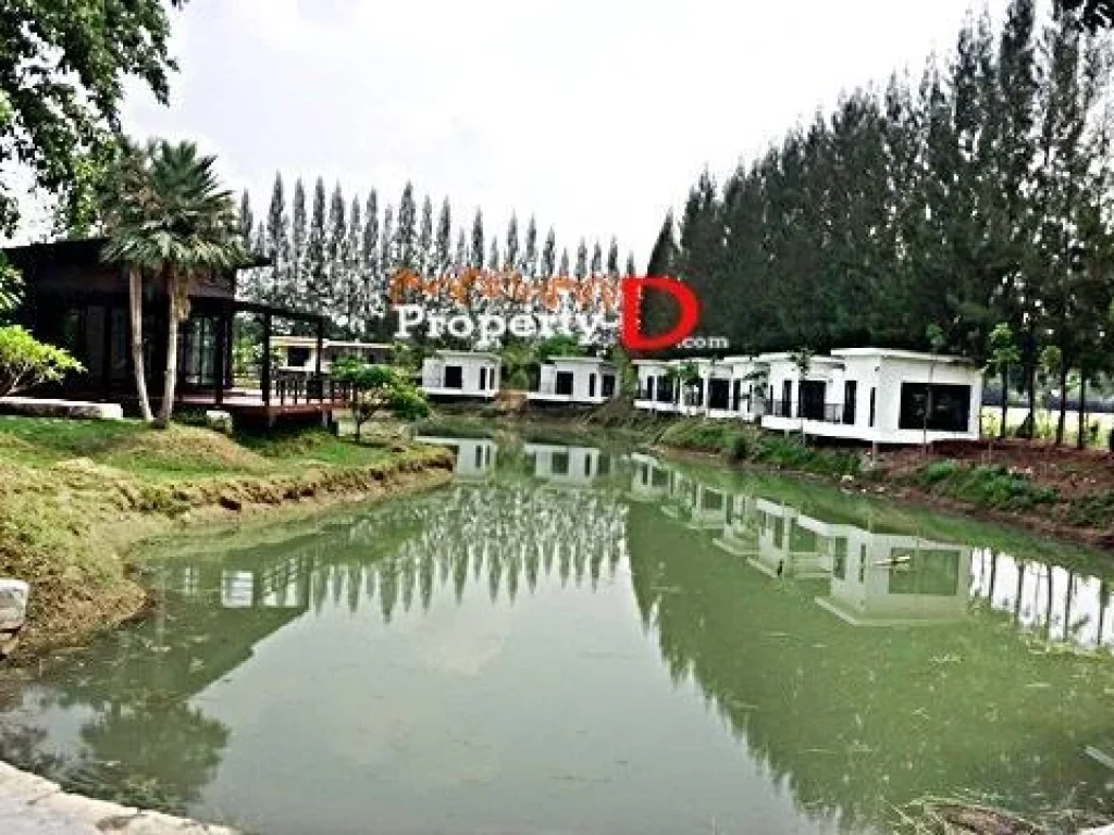 ขาย lake pine Resort ตั้งอยู่บนเนื้อที่ 8 ไร่ ตรงข้ามอบตขนงพระเยื้องโบนันซ่า Fishing Paark 7 กม