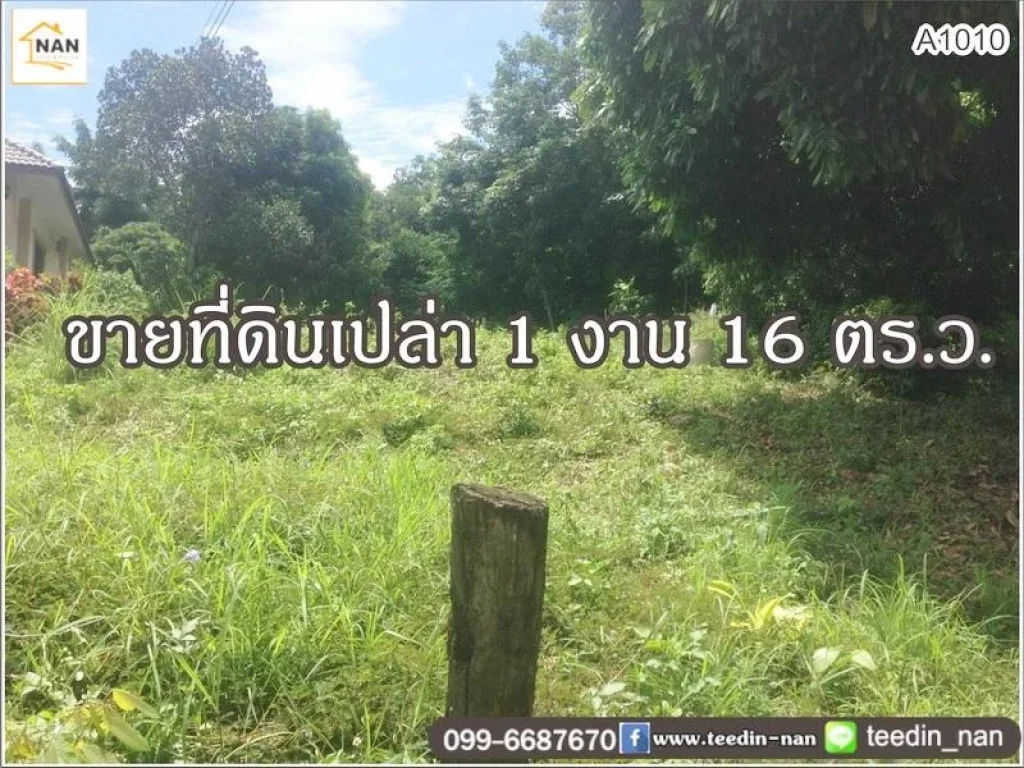 ขายที่ดินเปล่า เนื้อที่ 1 งาน 16 ตรว บ้านดู่ใต้