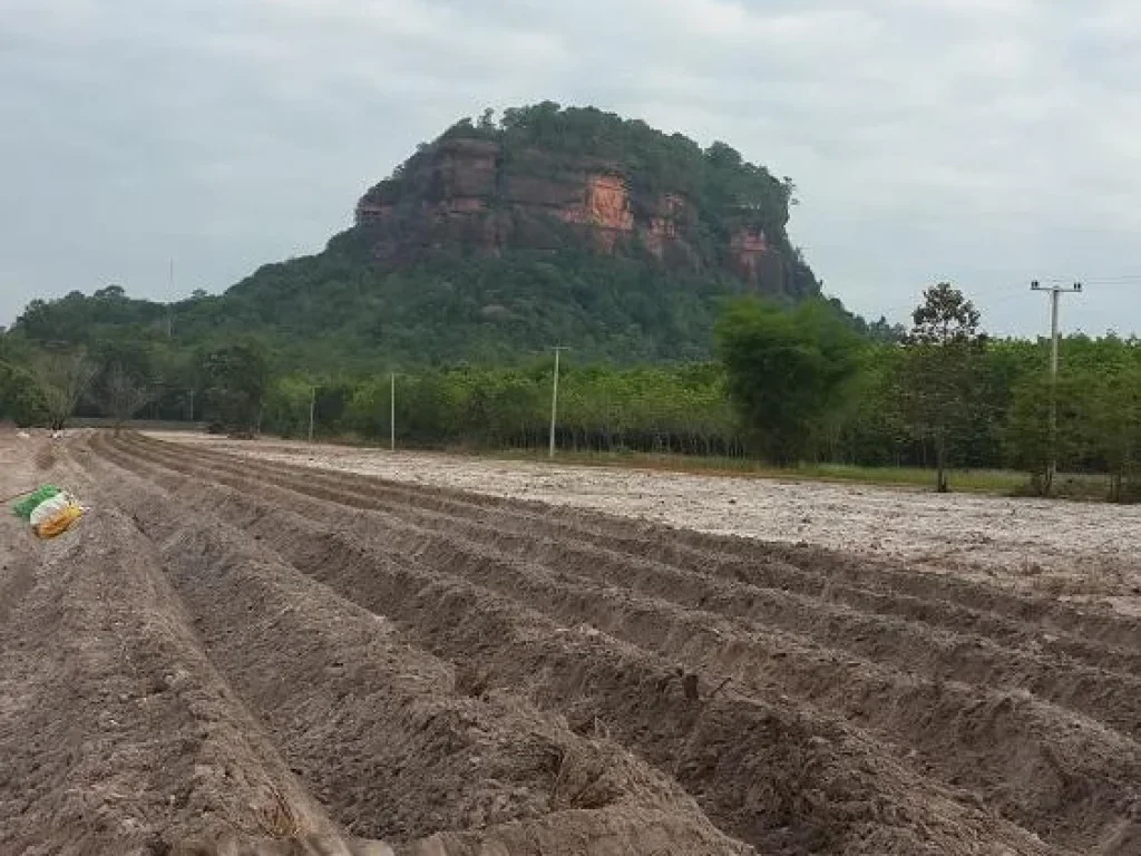 ขายที่ดินเปล่า32ไร่ตรงข้ามภูทอกทางไปน้ำตกเจ็ดสี