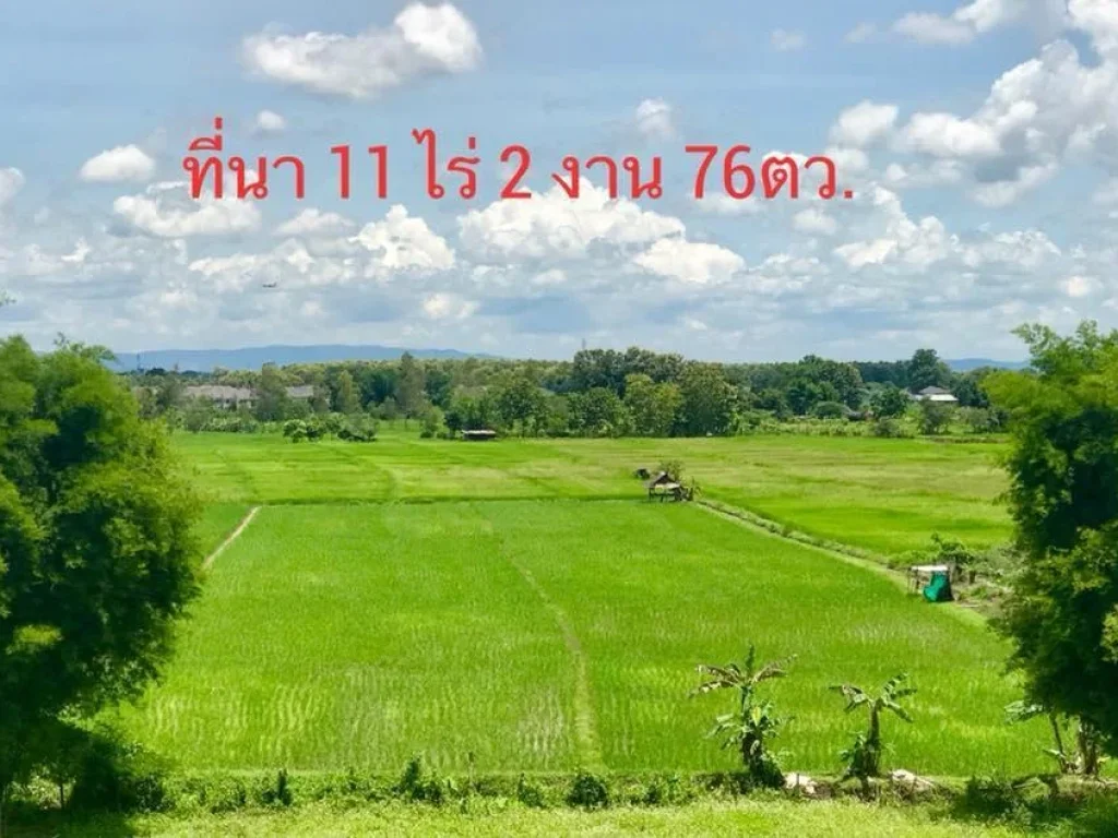 ขายที่นา บายพาสตะวันตก