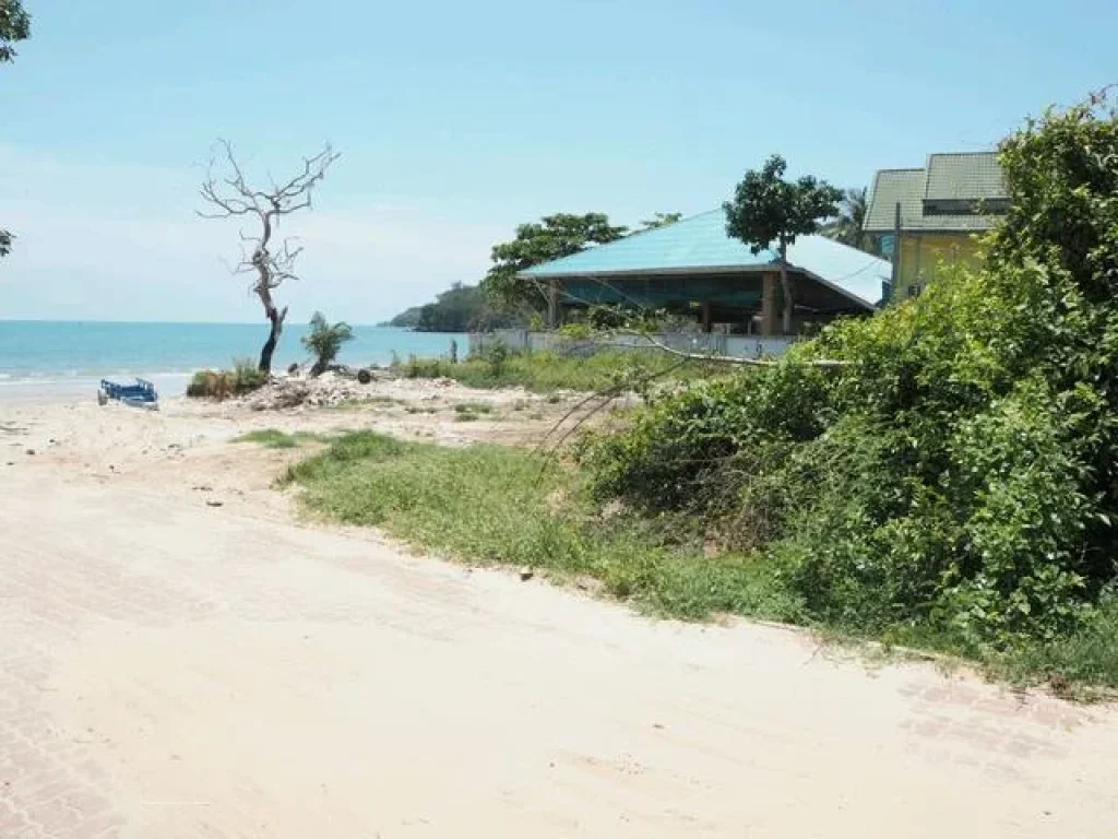 ที่ดินสำหรับปลูกบ้านพักตากอากาศ ริมทะเล หาดส่วนตัว 1 ไร่กว่า