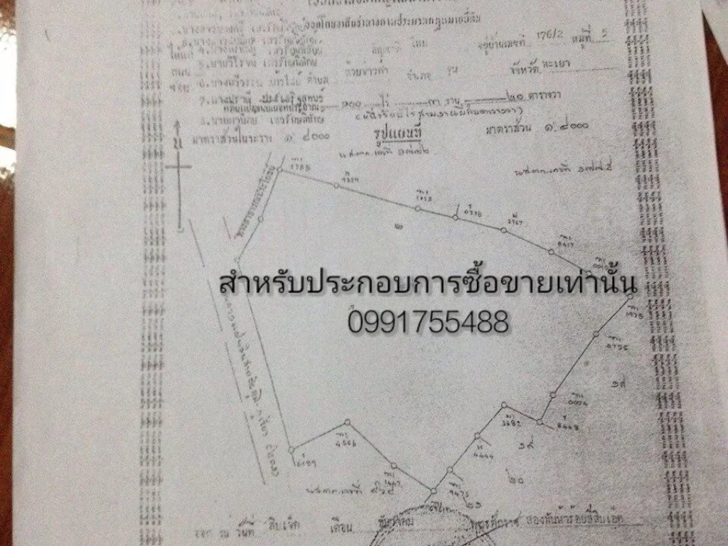 ขายที่ดิน100ไร่440000ราคาถูก