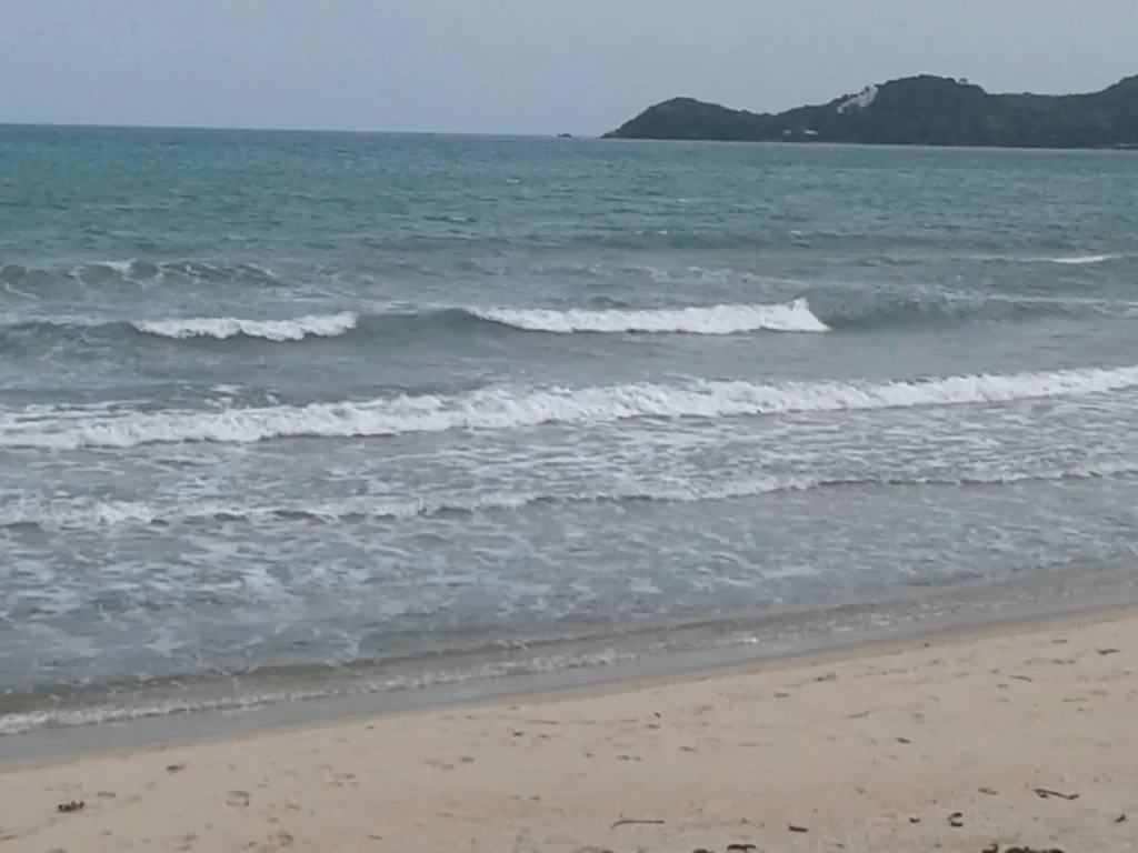 ขายที่ดินติดทะเล บ้านฉาง 31 ไร่ เดินลงชายหาดได้เลย