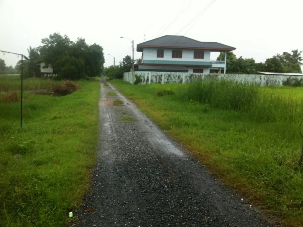 ขายที่ดิน 50 ตรว ถนนประชาสำราญ หนองจอก