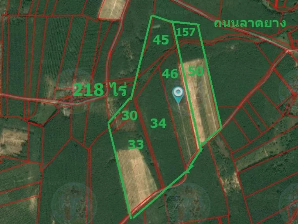  8720 ล้าน สวนยาง 4 ปี 218 ไร่ ใกล้ถนน 344 สายบ้านบึง-แกลงสี่แยกชุมแสง 10 กม ตหนองบัว อบ้านค่าย