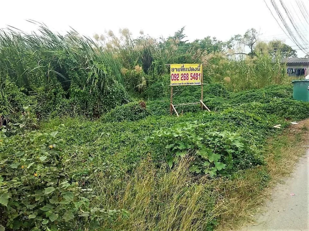 ขาย ที่ดิน ติดถนนสองด้าน บางกรวย-ไทรน้อย