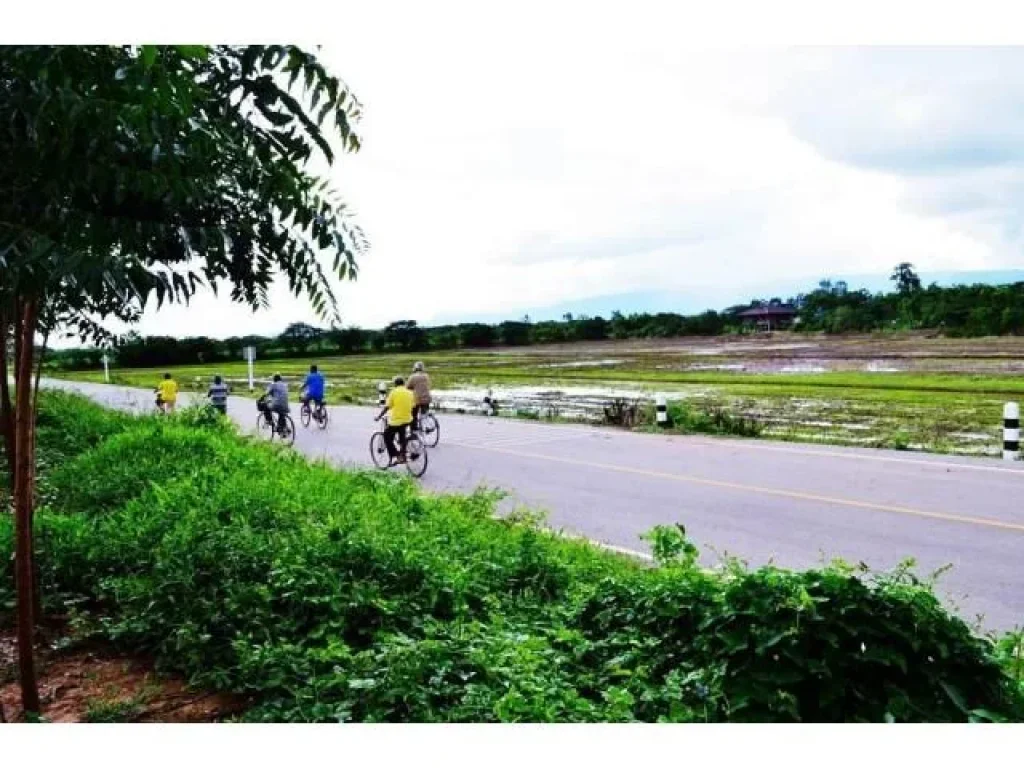 ขายที่ดินโฉนด10ไร่ ไร่ละ200000 ตท่าพล มีไฟฟ้า มีประปา ติดคลอง