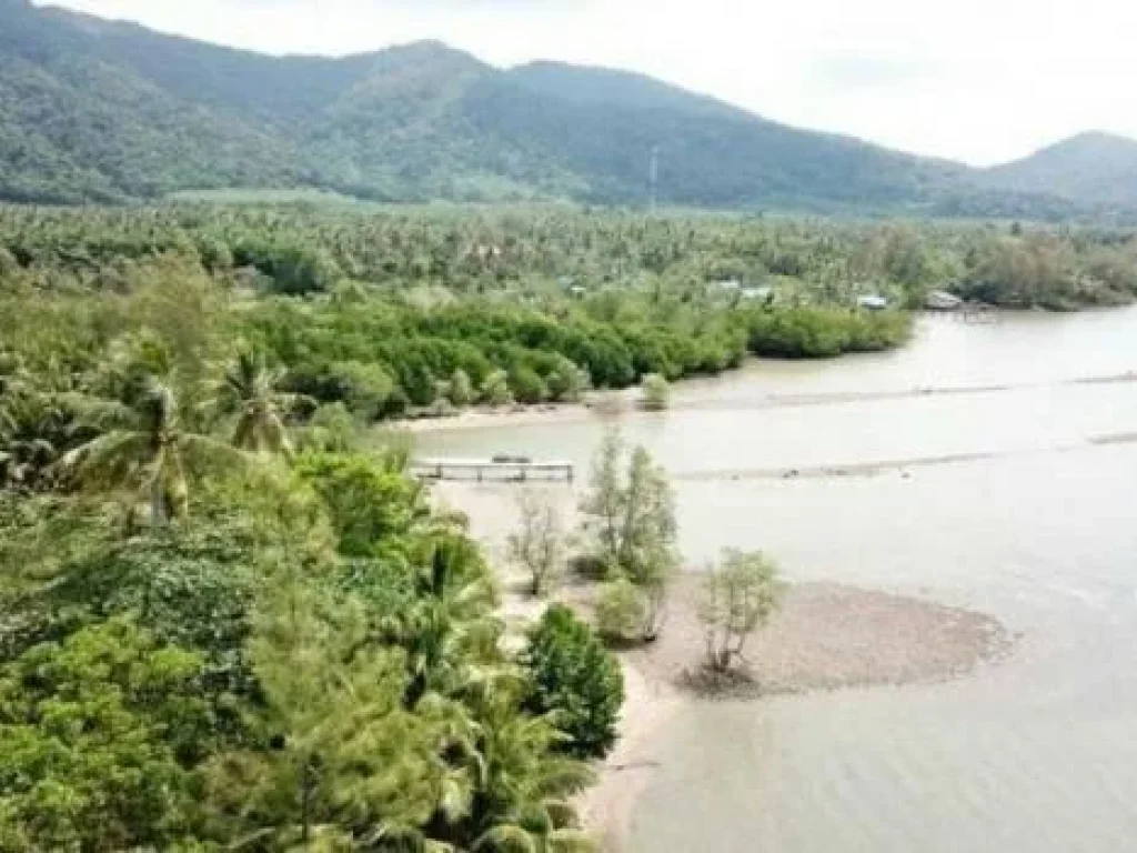 ขายทีดินเกาะช้างติดชายหาด