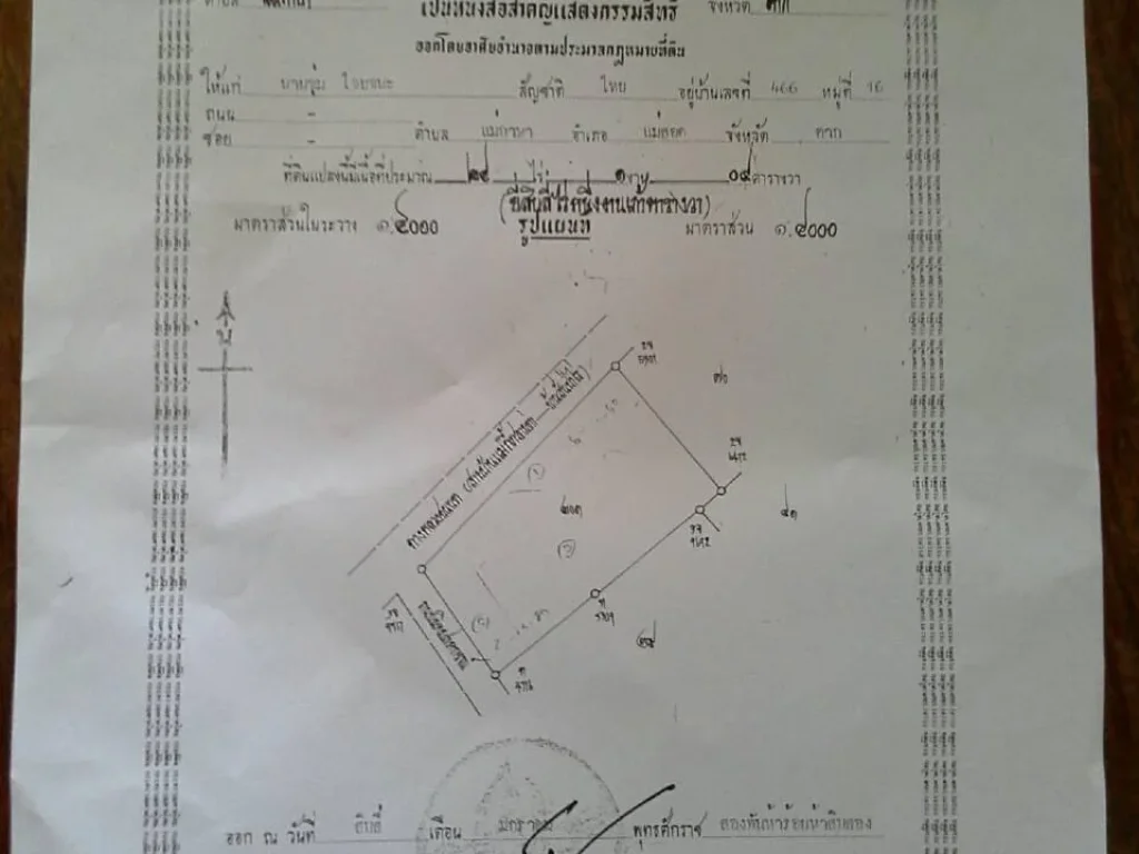 ขายที่ดินทางเข้าหมู้บ้านน้ำตกแม่กาษา 24-1-9 ตรว