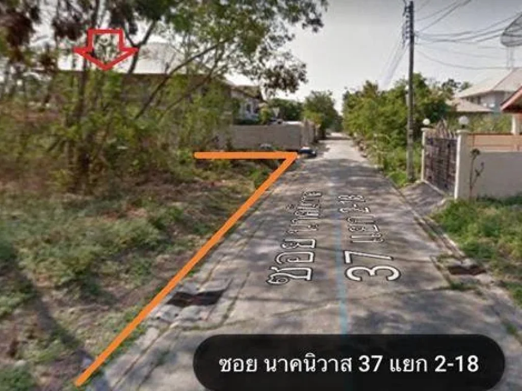 ขายที่ดิน ซนาคนิวาส 37 แยก 2-18 ขนาด 200 ตรว ถมแล้ว แปลงสวย