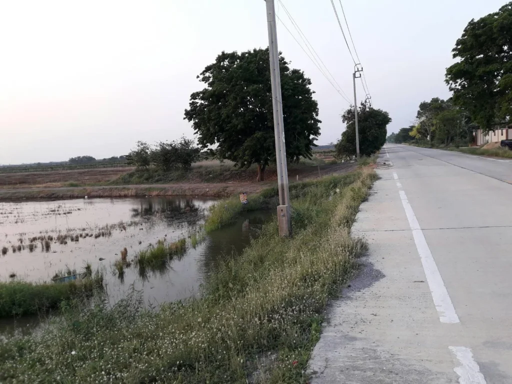 17 ไร่หย่อน ขาย 12ล้าน ติดถนนคลองหนึ่ง หันหน้าทิศตะวันออก