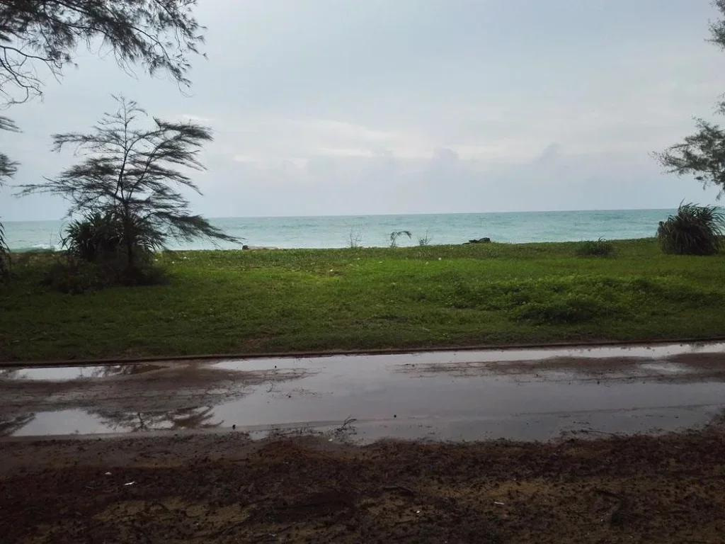 Land for Sale 6 Rais Maikhao beach front ที่ดินติดหาดไม้ขาว 6 ไร่