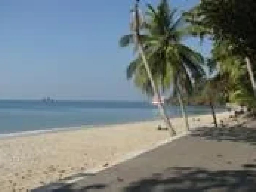 ขายถูกที่ดินพร้อมรีสอร์ท ติดทะเล มีใบอนุญาต ชายหาดส่วนตัว เดินลงชายทะเลได้เลย 4 ไร่