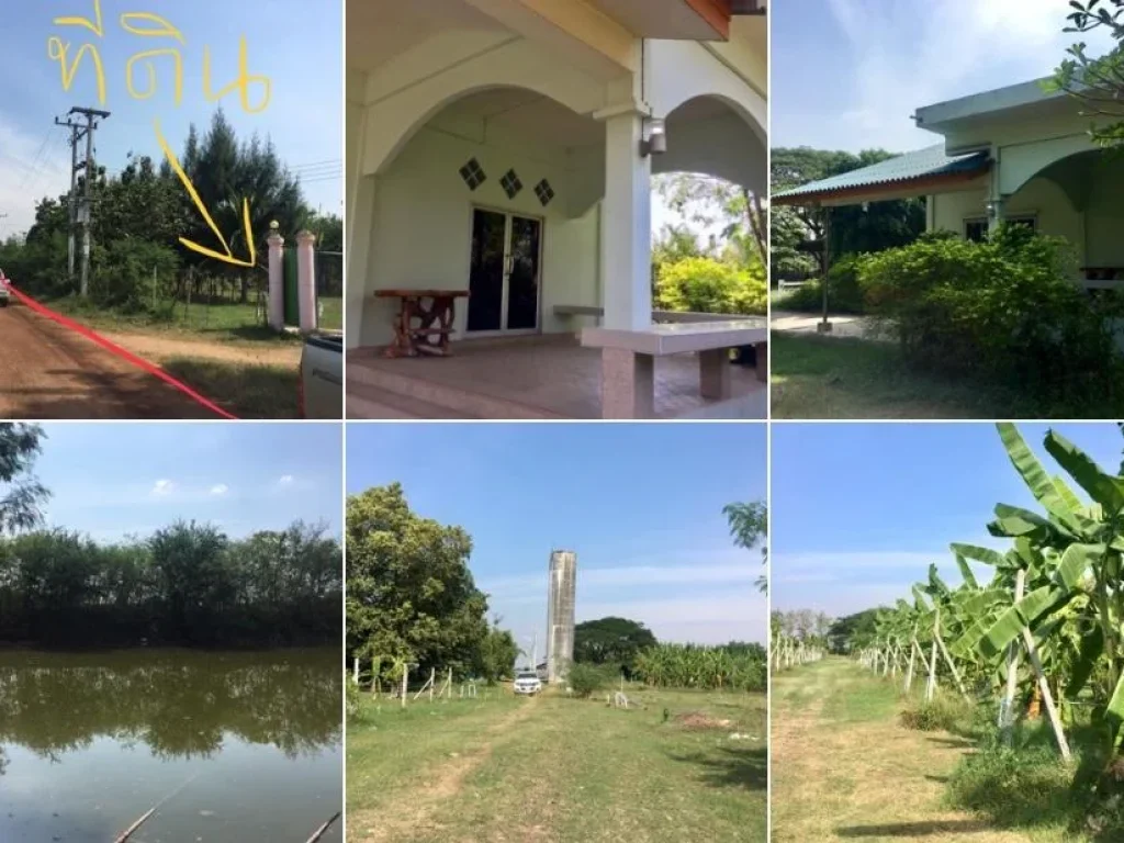 ที่ดินโฉนดพร้อมบ้านและโรงเรือนเก็บของและสวนผลไม้ต่างๆที่ดินมี 67 ไร่